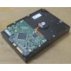 Жесткий диск HP 250Gb 7200 rpm 432337-001/ 399699-001 / 397377-004 (Волгоград)