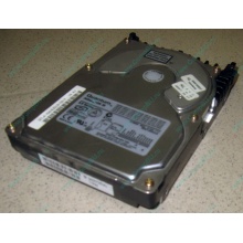 Жесткий диск 18.4Gb Quantum Atlas 10K III U160 SCSI 80 pin (Волгоград)