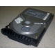 Жесткий диск 18.4Gb Quantum Atlas 10K III U160 SCSI (Волгоград)