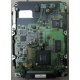 Жесткий диск 18.4Gb Quantum Atlas 10K III U160 SCSI (Волгоград)