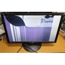 ViewSonic VA2413WM-2 разбитая матрица (Волгоград)
