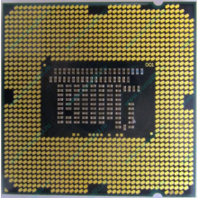 Процессор Intel Pentium G2030 (2x3.0GHz /L3 3072kb) SR163 s.1155 (Волгоград)
