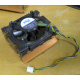 Intel C24751-002 (Волгоград)