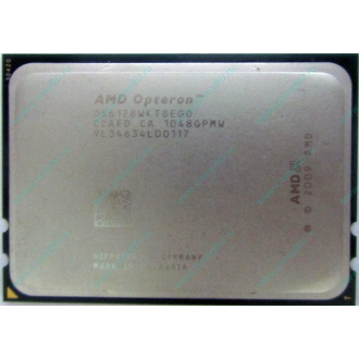 AMD Opteron 6128 OS6128WKT8EGO (Волгоград)