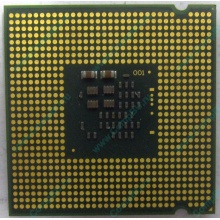 Процессор Intel Celeron D 346 (3.06GHz /256kb /533MHz) SL9BR s.775 (Волгоград)